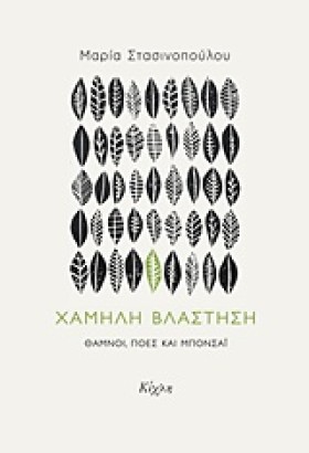 ΧΑΜΗΛΗ ΒΛΑ …