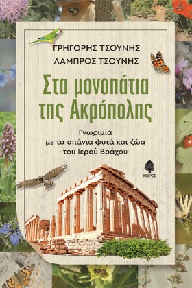 ΣΤΑ ΜΟΝΟΠΑ &hellip;