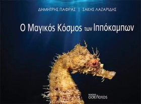 Ο ΜΑΓΙΚΟΣ …
