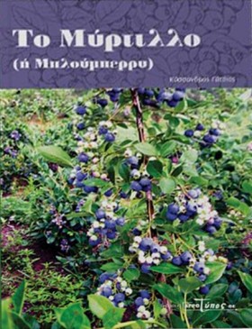 ΤΟ ΜΥΡΤΙΛΛ &hellip;