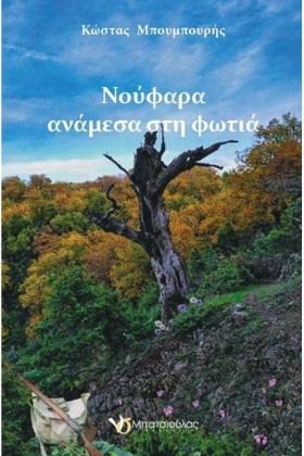 ΝΟΥΦΑΡΑ ΑΝ …