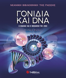 ΓΟΝΙΔΙΑ ΚΑ &hellip;