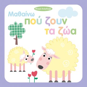 ΜΙΚΡΑ ΑΝΑΓ …