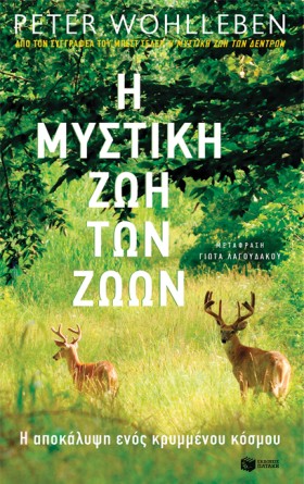 Η ΜΥΣΤΙΚΗ &hellip;
