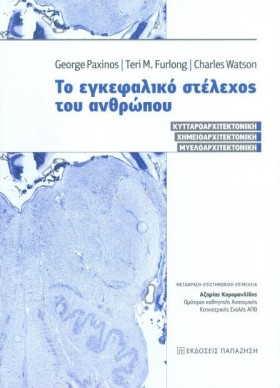 ΤΟ ΕΓΚΕΦΑΛ …