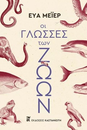 ΟΙ ΓΛΩΣΣΕΣ …