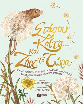 ΣΤΑΣΟΥ, ΚΟ …