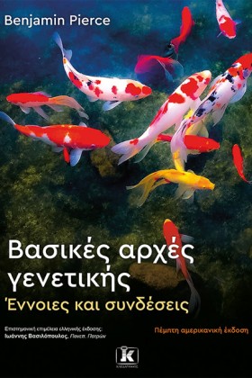 ΒΑΣΙΚΕΣ ΑΡ …