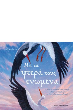 ΜΕ ΤΑ ΦΤΕΡ &hellip;