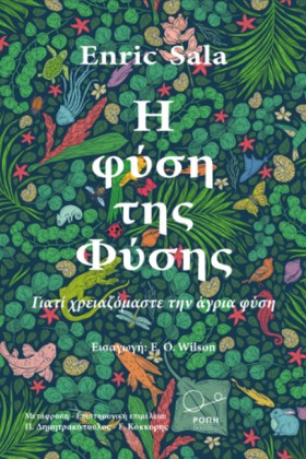 Η ΦΥΣΗ ΤΗΣ …