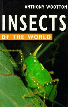 INSECTS OF …