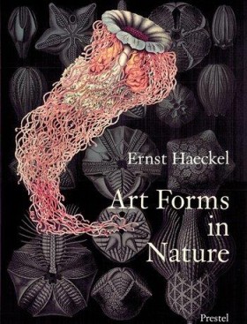 Art Forms …