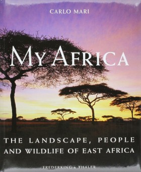MY AFRICA …