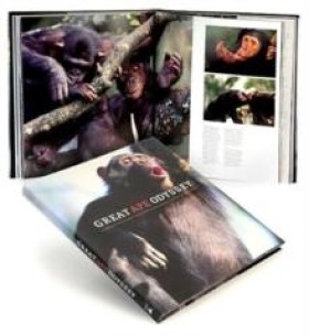 GREAT APE …
