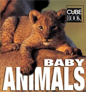 BABY ANIMA …