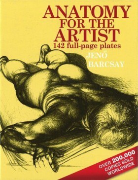 ANATOMY FO &hellip;