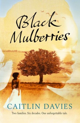 Black Mulb &hellip;