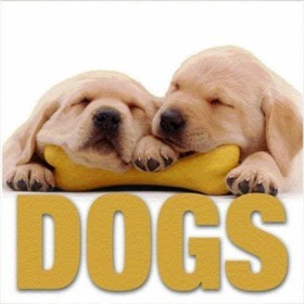 DOGS-MINI …
