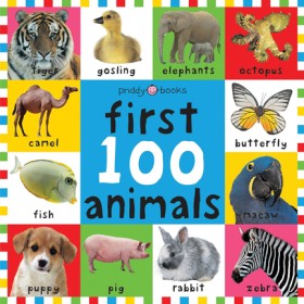First 100 …