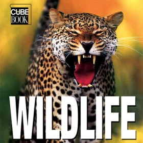 WILDLIFE-M &hellip;