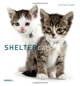 SHELTER CA …