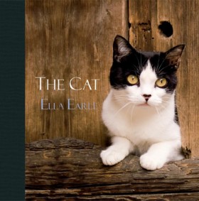 THE CAT HB