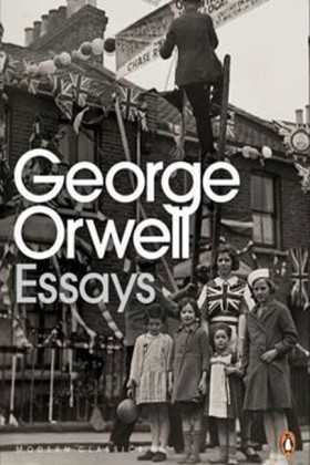 Essays