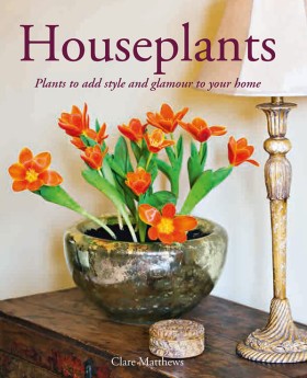 HOUSEPLANT …
