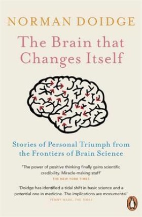 The Brain &hellip;