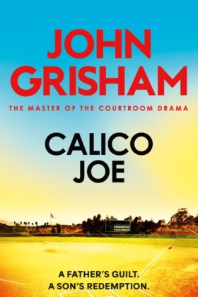 Calico Joe