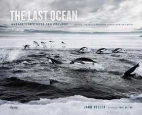 THE LAST O …