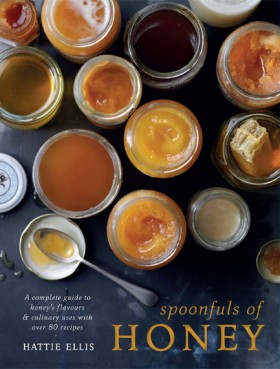 SPOONFULS &hellip;