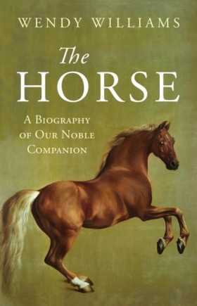 THE HORSE- &hellip;