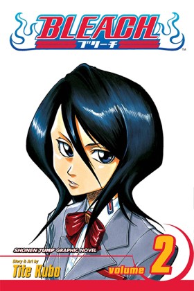 Bleach, Vo …