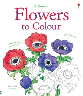 FLOWERS CO …