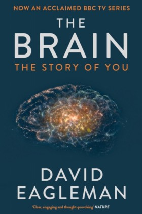 The Brain