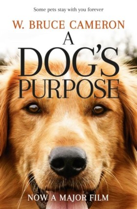 A Dogs Pur &hellip;