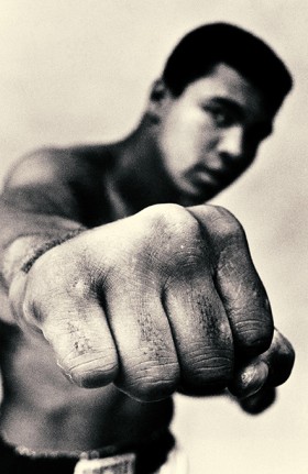 ALI-A LIFE &hellip;