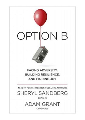 OPTION B : …