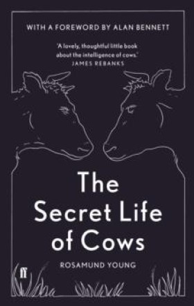 THE SECRET &hellip;