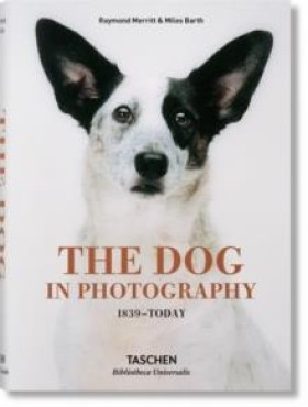 The Dog in &hellip;