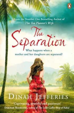 The Separa &hellip;