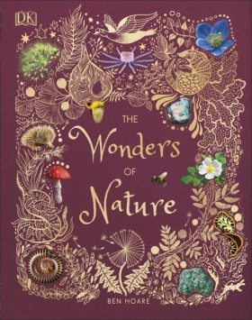 The Wonder …