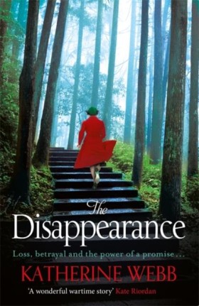 The Disapp &hellip;