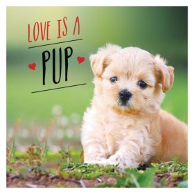 Love is a &hellip;