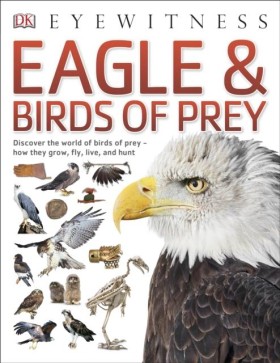 EAGLES & B &hellip;