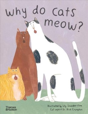Why do cat …