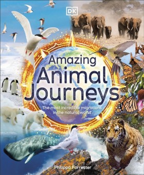 Amazing An …