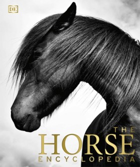 The Horse …
