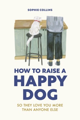 How to Rai &hellip;